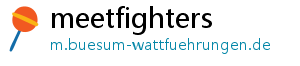 meetfighters